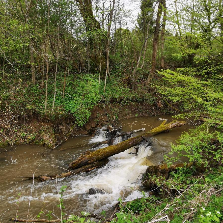 Osrodek Volfcamp Kwaszenina Daire Arłamów Dış mekan fotoğraf
