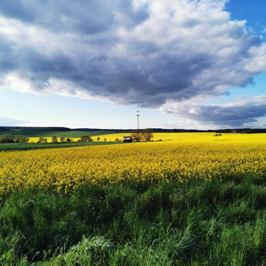 Osrodek Volfcamp Kwaszenina Daire Arłamów Dış mekan fotoğraf