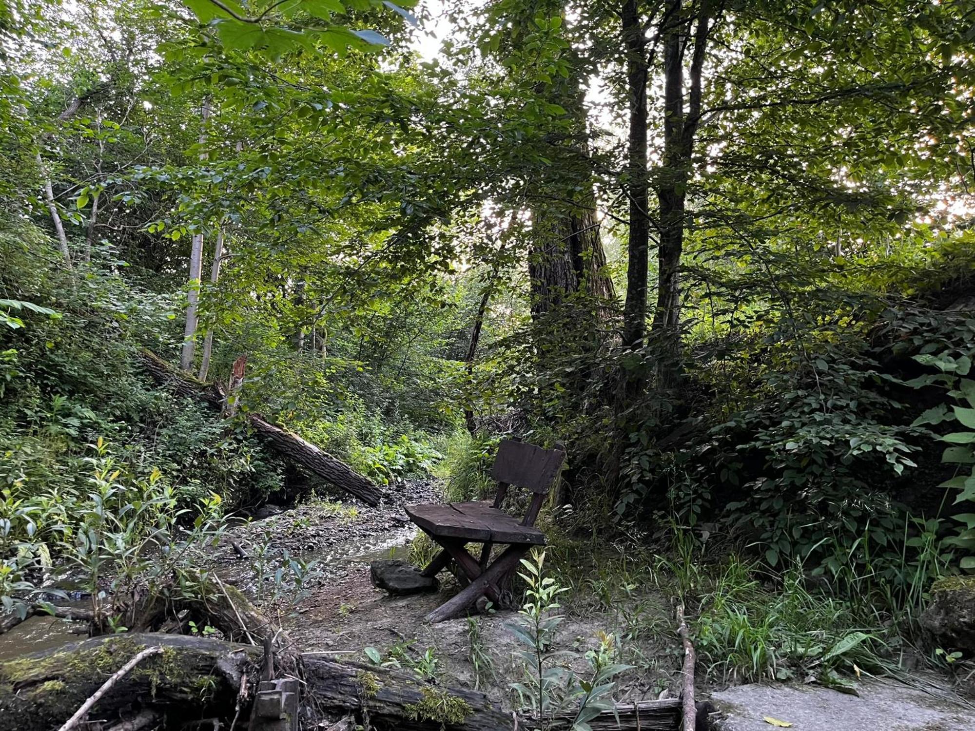Osrodek Volfcamp Kwaszenina Daire Arłamów Dış mekan fotoğraf
